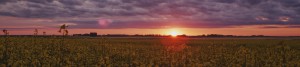 Farmland sunset