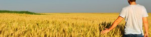 farmer in farmland