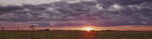 farmland sunset banner