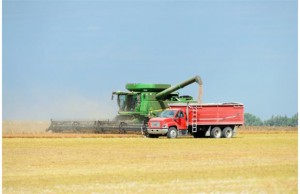 harvesting