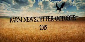 newsletter 2015