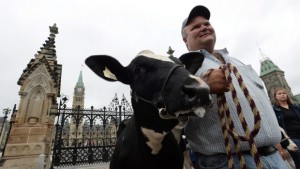 dairy farmers support tpp