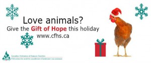 canadian federation of humane societies