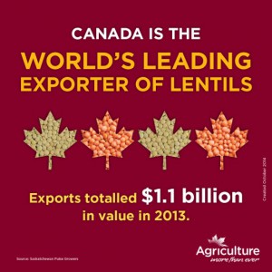 canada is the world's leading exporter of lentils