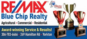 remax blue chip realty banner