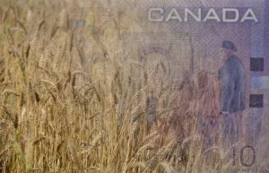 canada's agri food industry