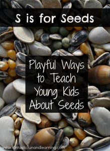 teaching kids about seeding