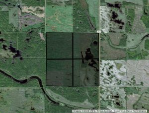 hay/pasture section