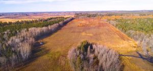 quarter section of recreational/pasture land for sale