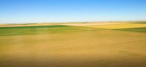 Half Section of Grain Land For Sale