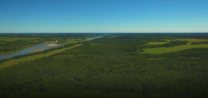 Price Reduced! RM Duck Lake Land for sale