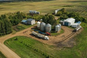High Quality Grain Farm for sale in a Good Area