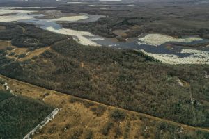 119.60 Acres in The Woods!