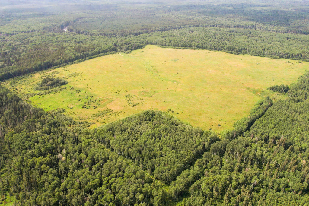 Recreation/Pasture Land in the RM of Torch River #488