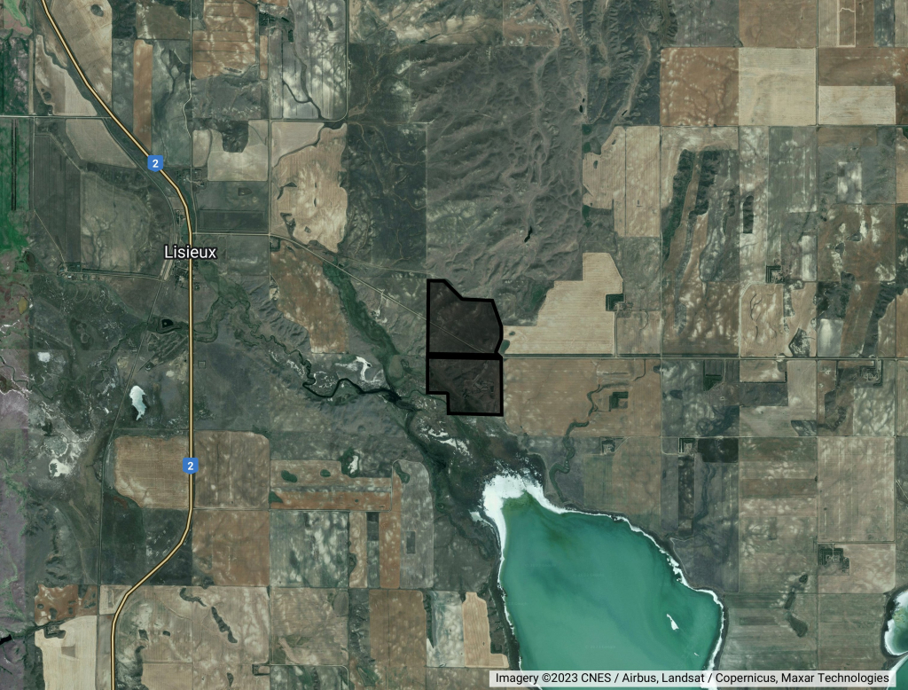 Pasture Land in the RM of Willow Bunch #042
