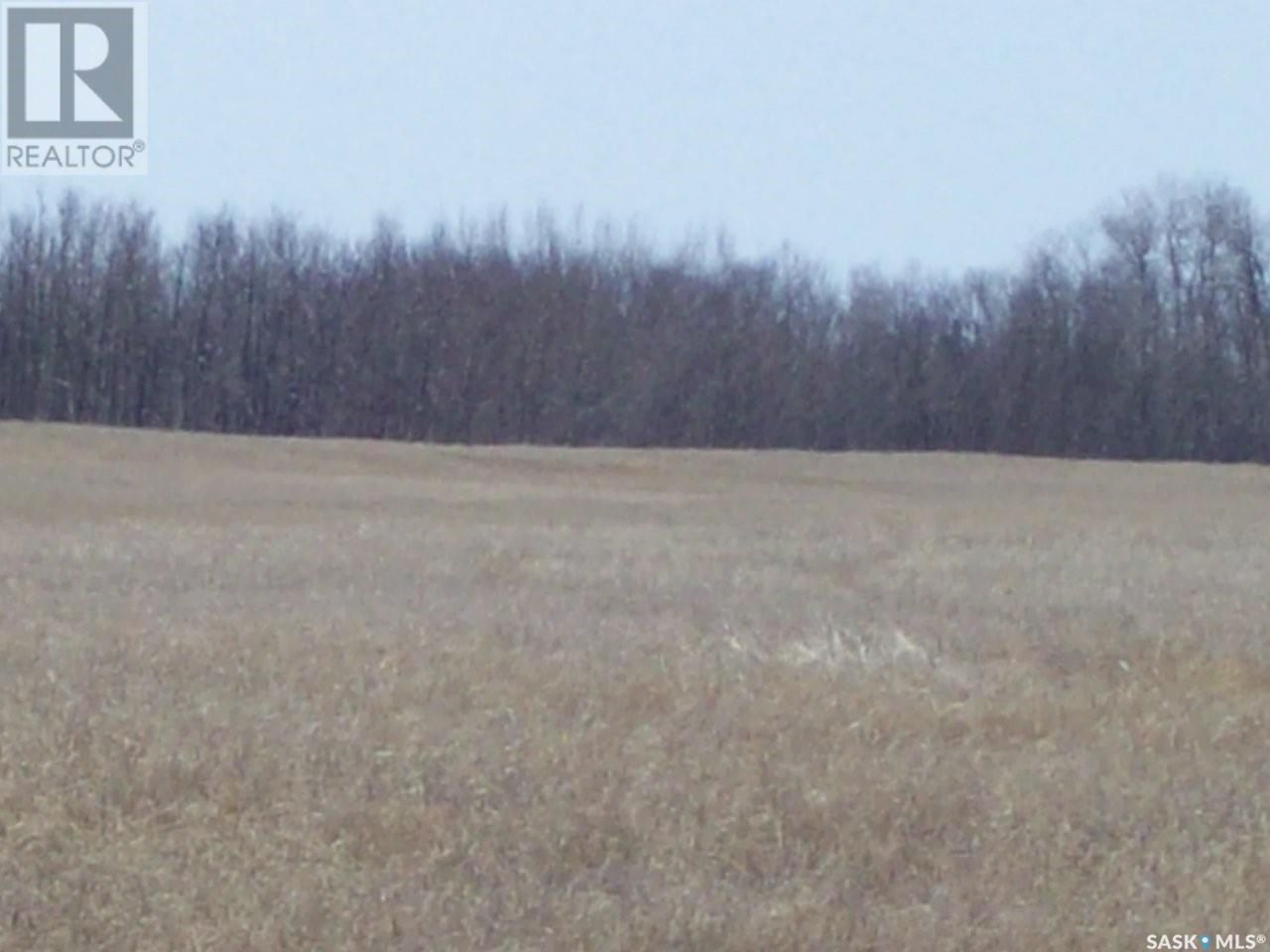 #5. Richardt 142.15 Acres Grasswood, Grasswood, Saskatchewan  S7T 1C8 - Photo 2 - SK924138