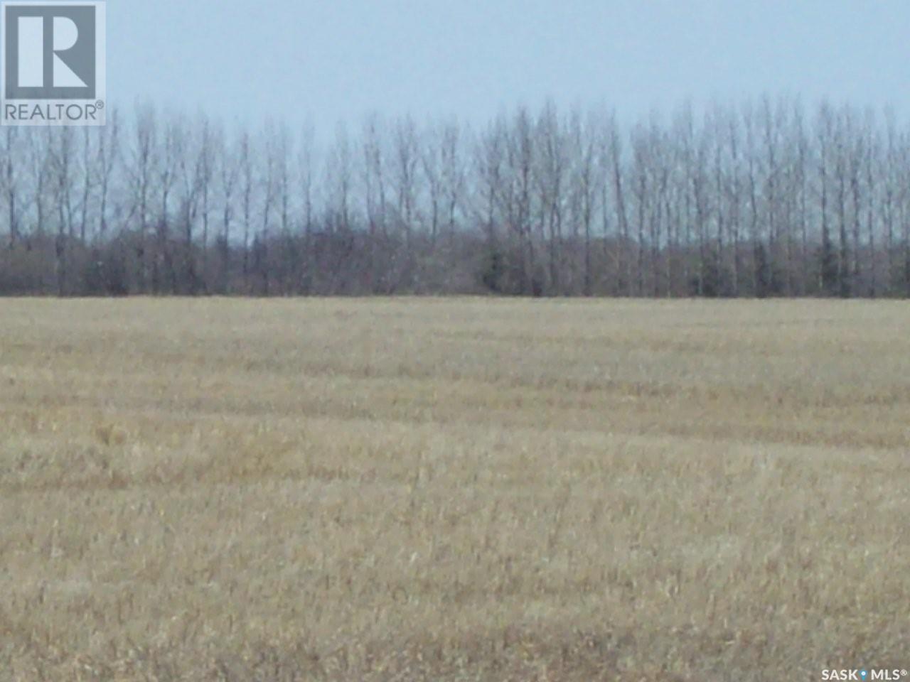 #5. Richardt 142.15 Acres Grasswood, Grasswood, Saskatchewan  S7T 1C8 - Photo 3 - SK924138