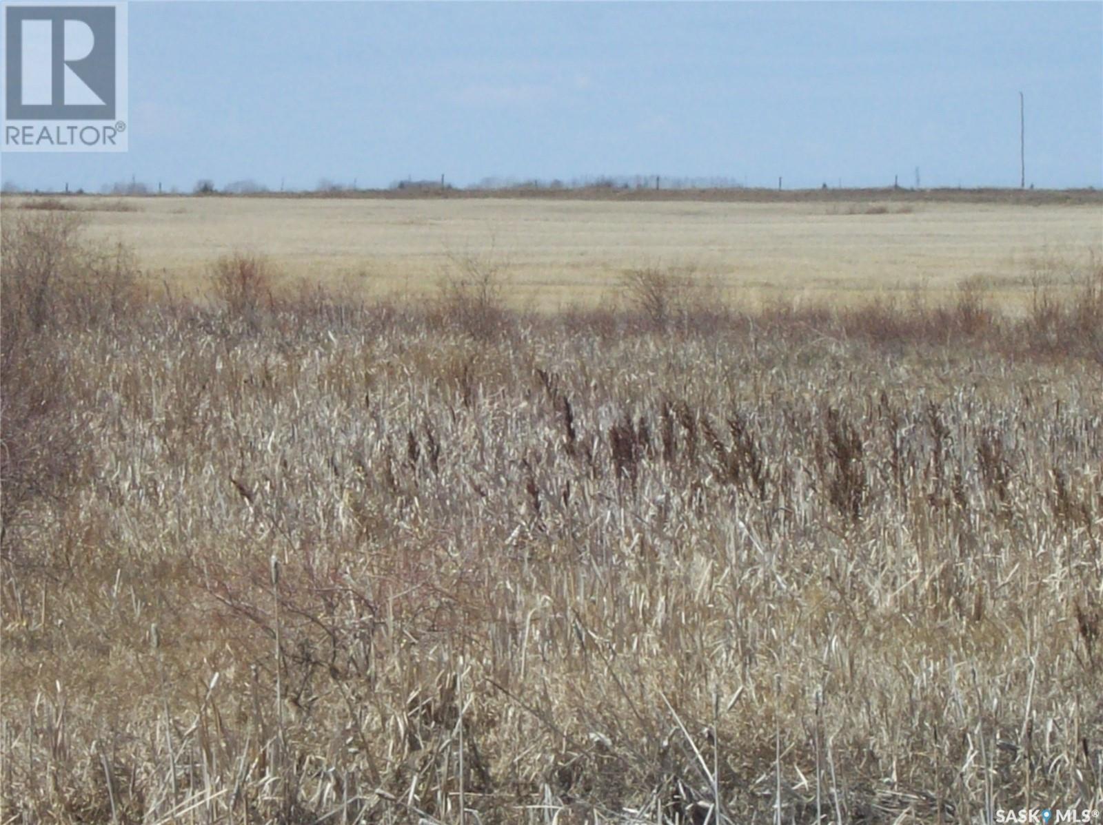 #5. Richardt 142.15 Acres Grasswood, Grasswood, Saskatchewan  S7T 1C8 - Photo 5 - SK924138