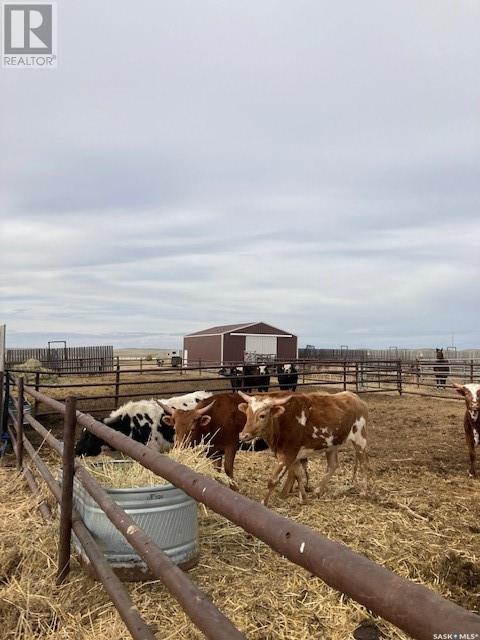 Stennes Ranch, Webb Rm No. 138, Saskatchewan  S0N 1A0 - Photo 2 - SK927838