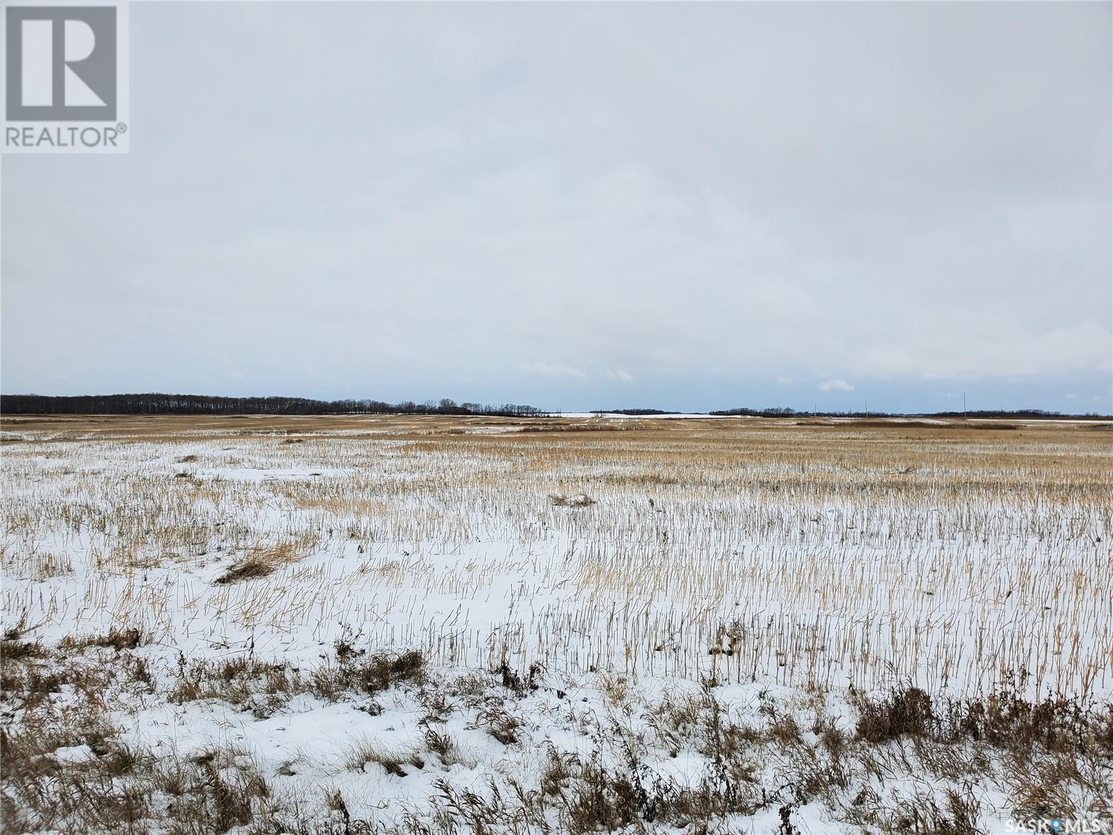 Grain Land - Rm Of Wallace #243, Wallace Rm No. 243, Saskatchewan  S0A 3R0 - Photo 1 - SK949846