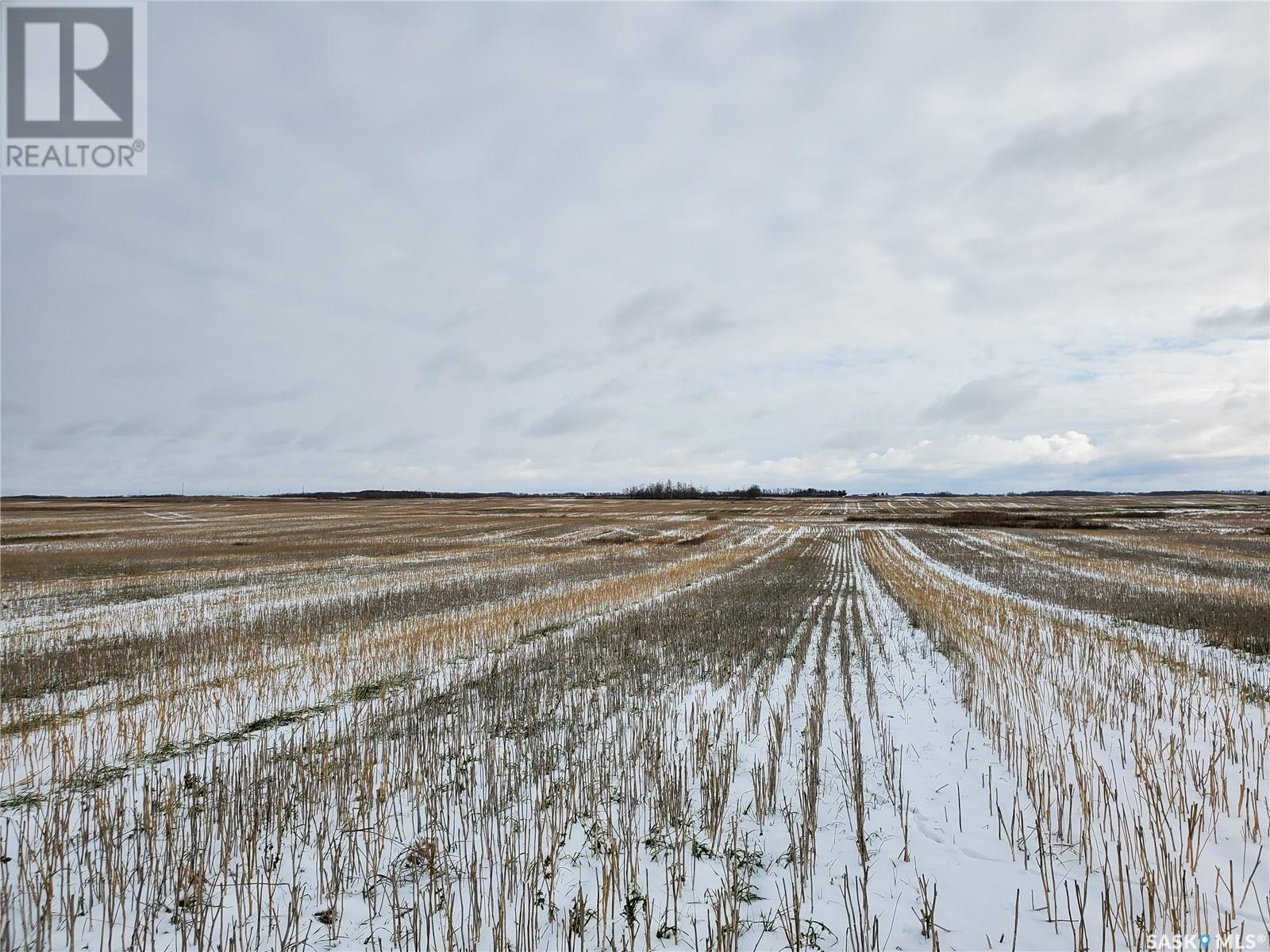 Grain Land - Rm Of Wallace #243, Wallace Rm No. 243, Saskatchewan  S0A 3R0 - Photo 2 - SK949846