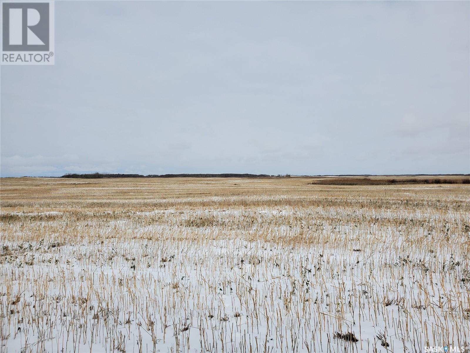 Grain Land - Rm Of Wallace #243, Wallace Rm No. 243, Saskatchewan  S0A 3R0 - Photo 3 - SK949846