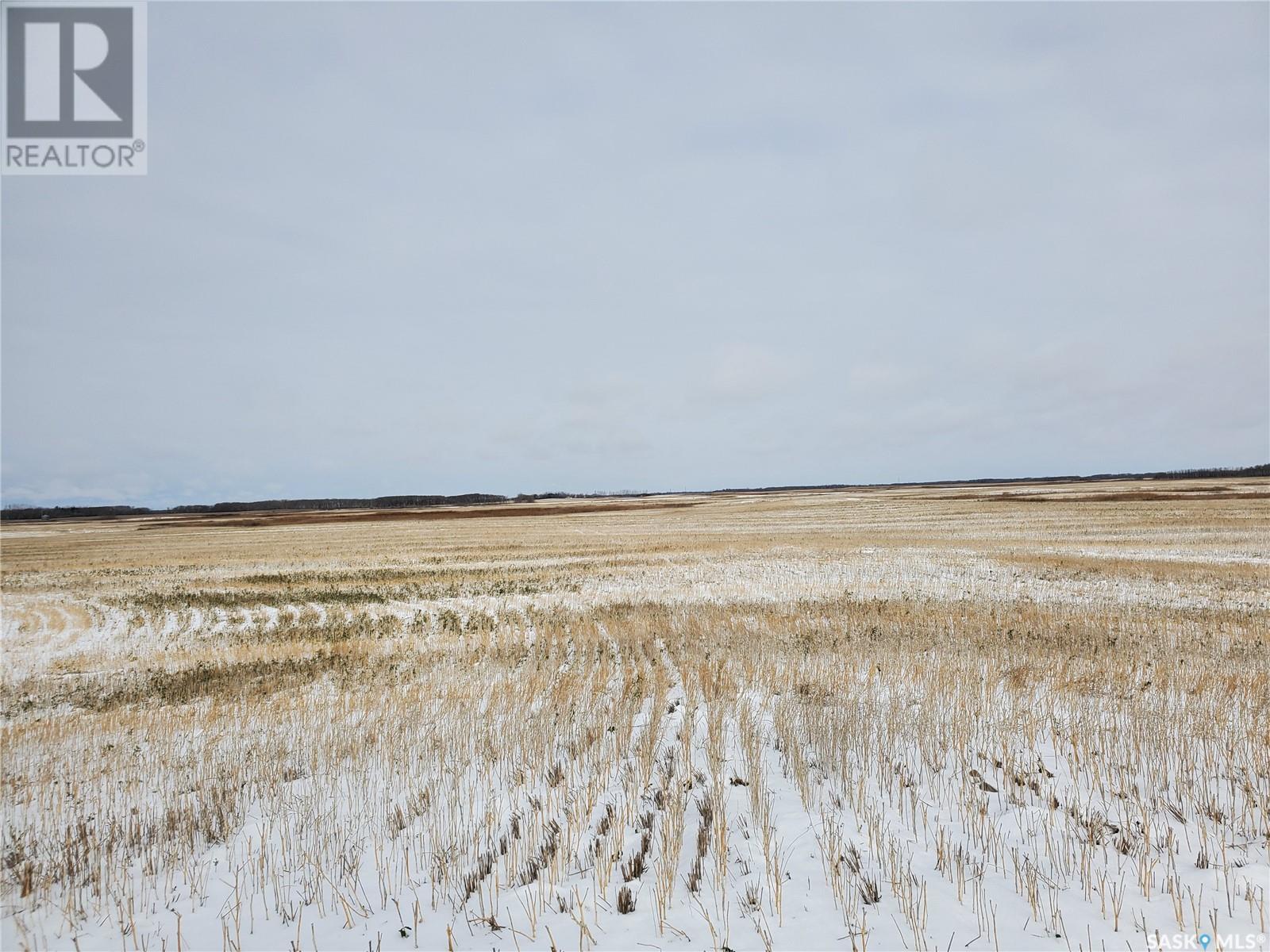 Grain Land - Rm Of Wallace #243, Wallace Rm No. 243, Saskatchewan  S0A 3R0 - Photo 4 - SK949846