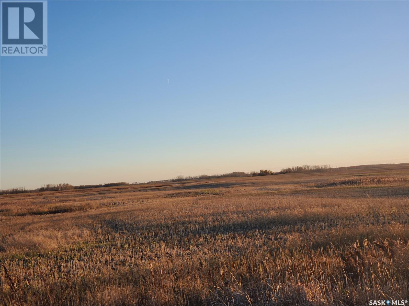 Grain Land - Rm Of Wallace #243, Wallace Rm No. 243, Saskatchewan  S0A 3R0 - Photo 6 - SK949846