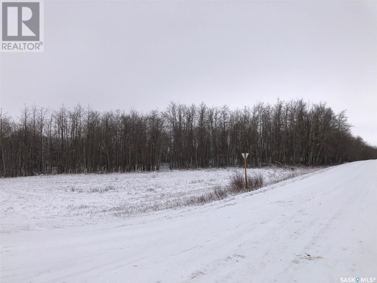 Oshust Recreation Land, Invermay Rm No. 305, Saskatchewan  S0A 1M0 - Photo 4 - SK952775